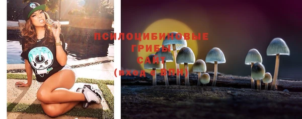 МДПВ Покровск