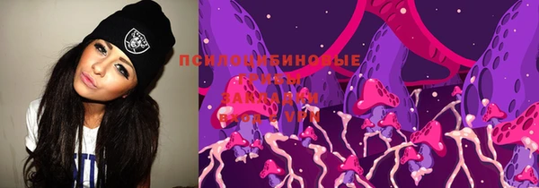 спайс Приозерск