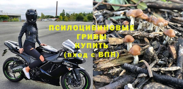 МДПВ Покровск