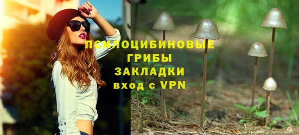спайс Приозерск